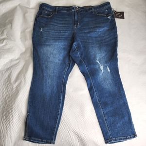 Ava & Viv Jeans Mid Rise Skinny Medium Wash Women's Plus Size 24W Regular NWT